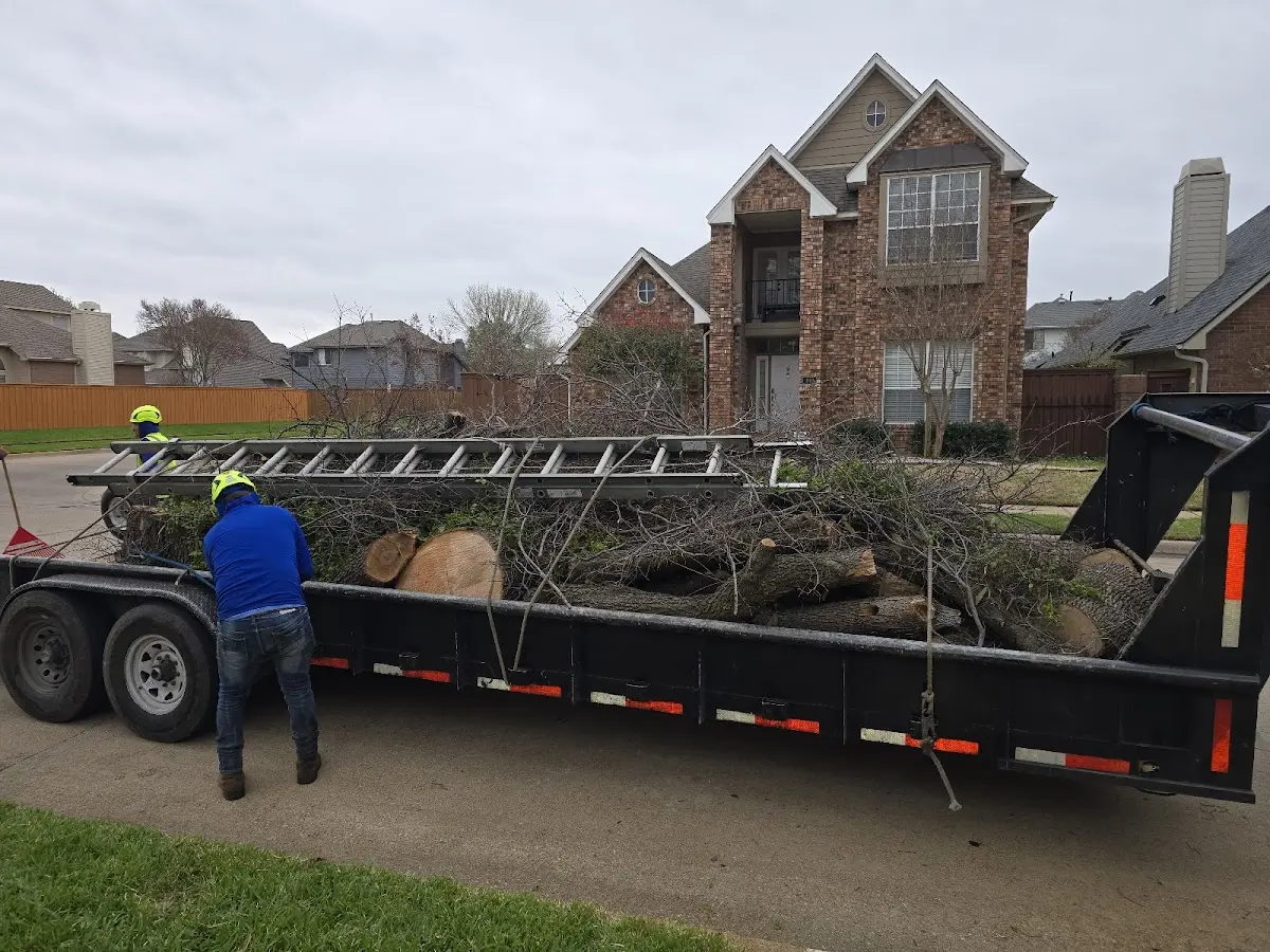 Expert Tree Pest Control with proper safety equipment in Saint Michael